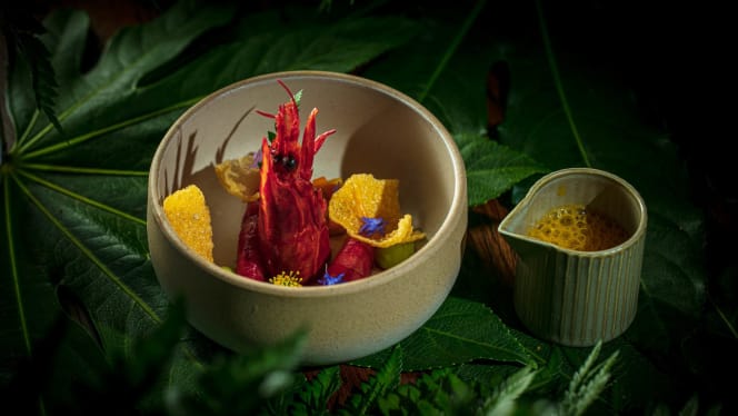 Inca London - London - 8