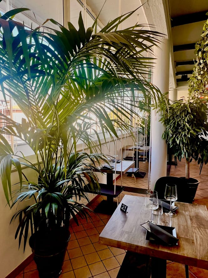 Belloverde Susine - 7