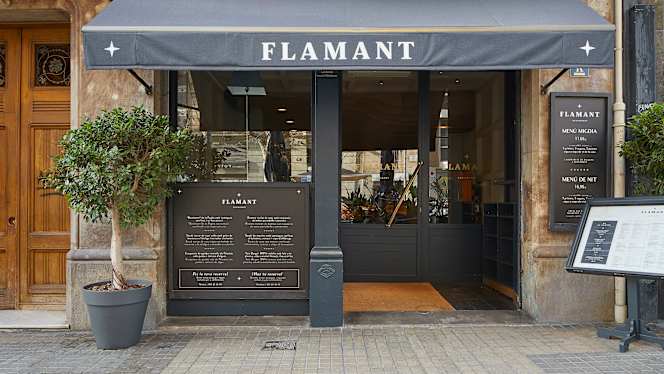 Flamant - 7