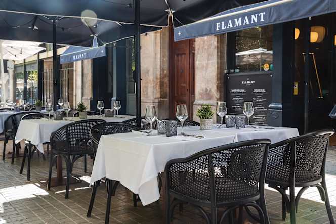 Flamant - 3