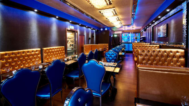 What's Up India - Rotterdam - 5