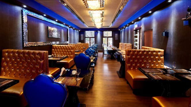 What's Up India - Rotterdam - 4