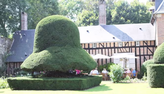 Le Jardin des ifs - 1