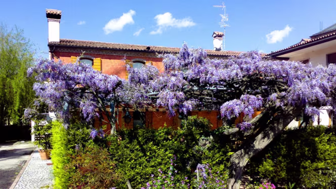 Antica Trattoria Antenore - 0