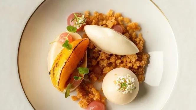 Maya - Manchester - 0