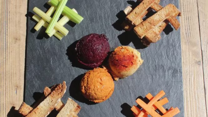 Espacio Orgánico - 1