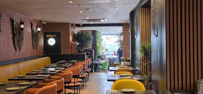 Olive Tree Turkish Mediterranean Restaurant and Bar - 2
