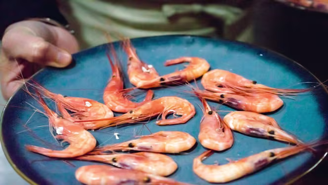 Casa Riquelme - Alicante - 6