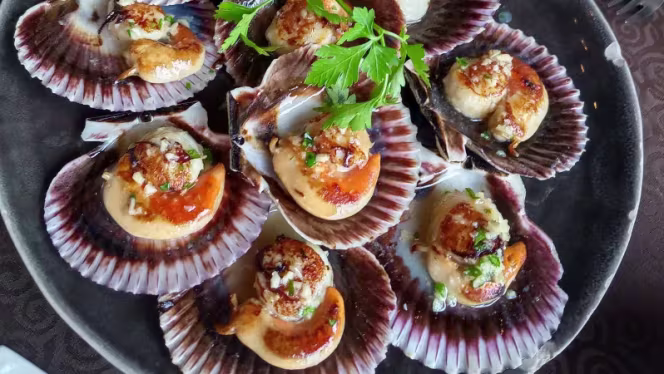 MajoS – Complejo The Dreams - 0