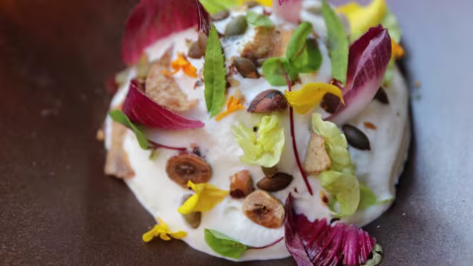 Jour de Marché (devient Krak) - 9