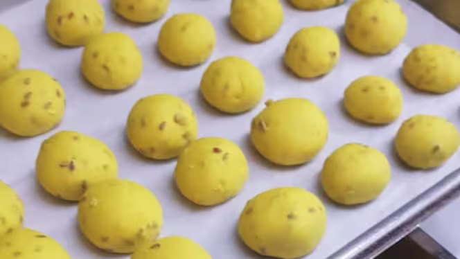 Hammer fish bistrot - Roma - 3