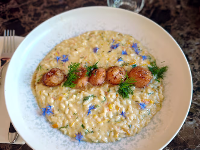 Restaurant Otello - Hôtel Blason du Ventoux - Carpentras - 7