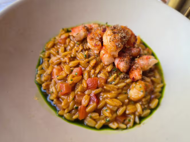 Cylla - Birmingham - 7