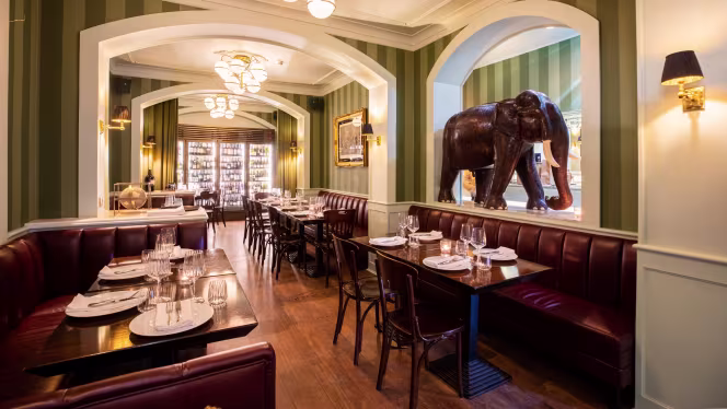 XXL by Olivier - Lisboa - 0