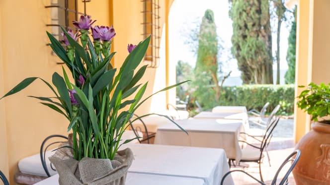 Tenuta La Bandita - 4