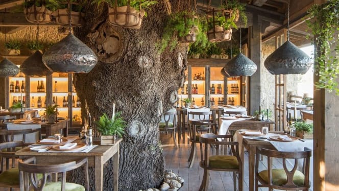 Trattoria Sull’Albero - Palazzetto - 8