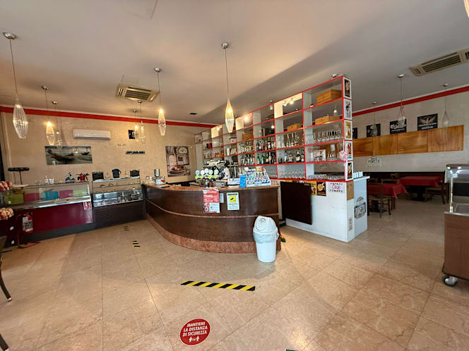 Nautils seifontane - 4