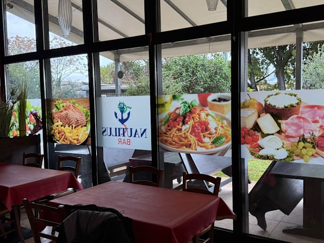 Nautils seifontane - 0