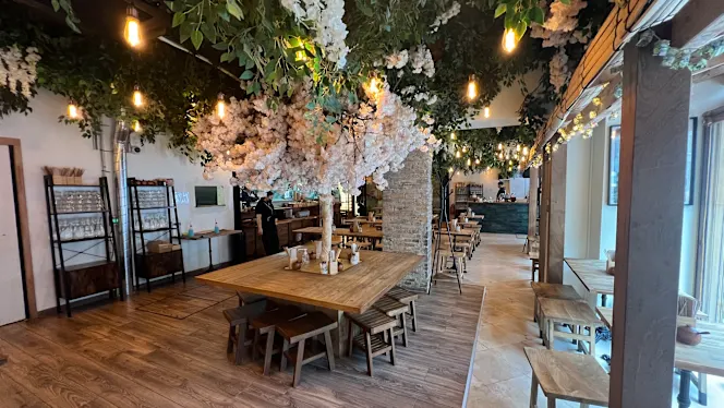 Neko Ramen Green - Paris - 0