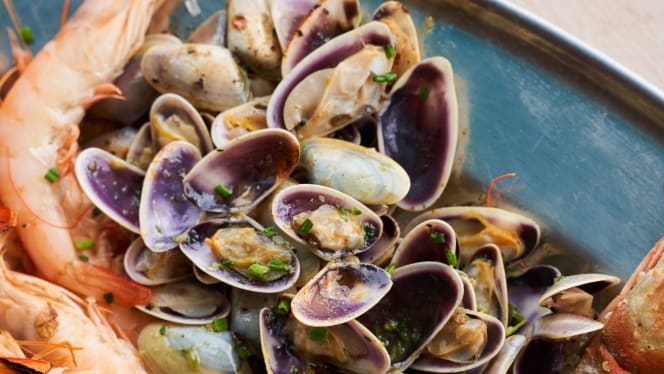 La + Fría - El Palo - 8