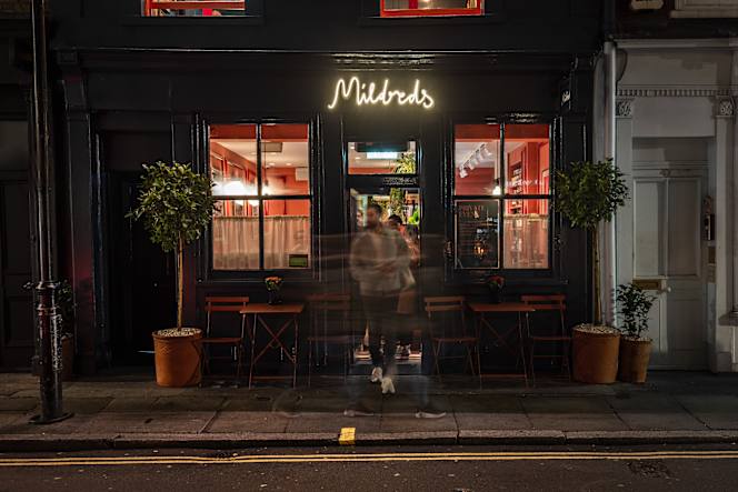 Mildreds - Camden - 7