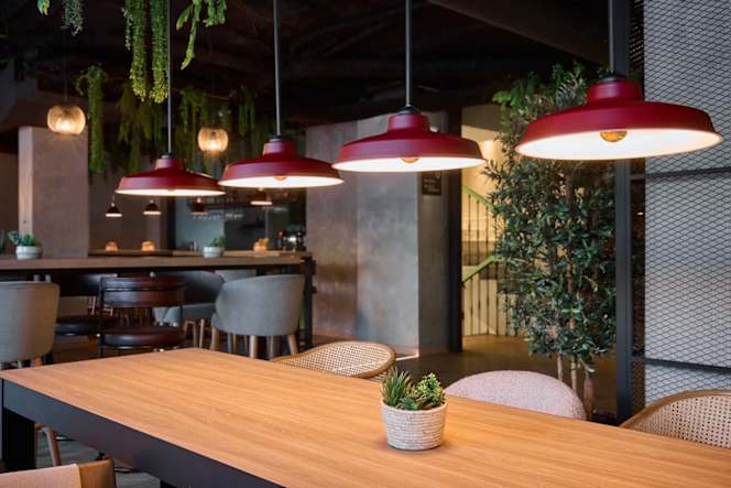 Rincón Don Vicente Triunfo - 9