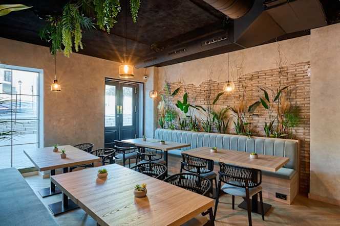 Rincón Don Vicente Triunfo - 6