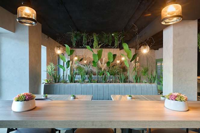 Rincón Don Vicente Triunfo - 8