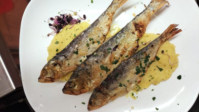 Trattoria Gallo Rosso - 6