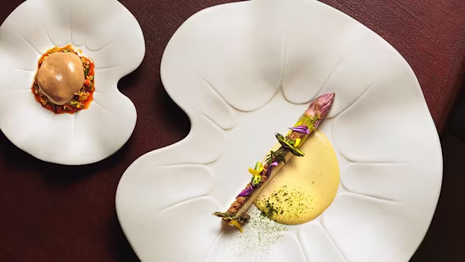 M Rencontre - Marseille - 5