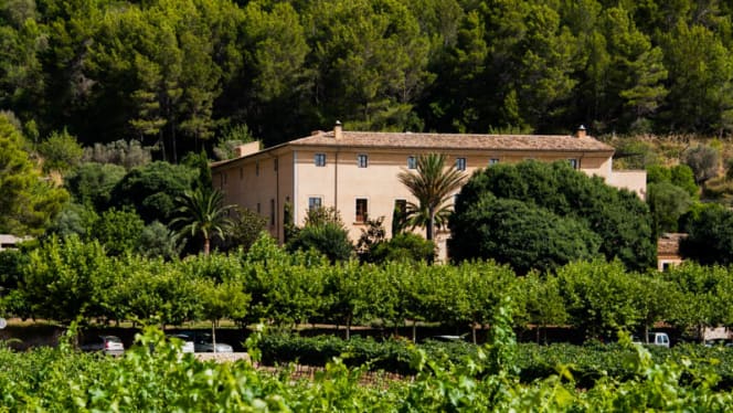 BISTRO -  Son Brull Hotel & Spa - 0