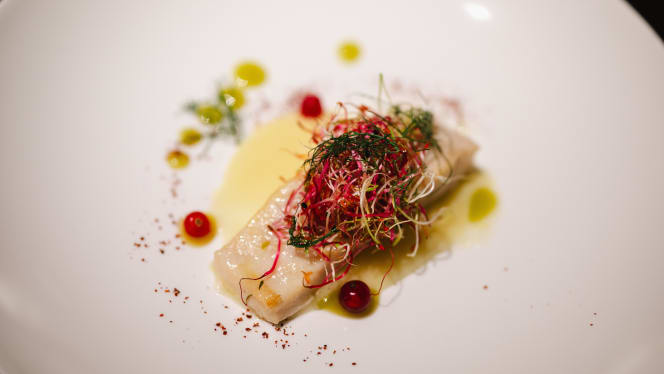 Ristorante Donna Augusta A Li Reni - Manduria - 0