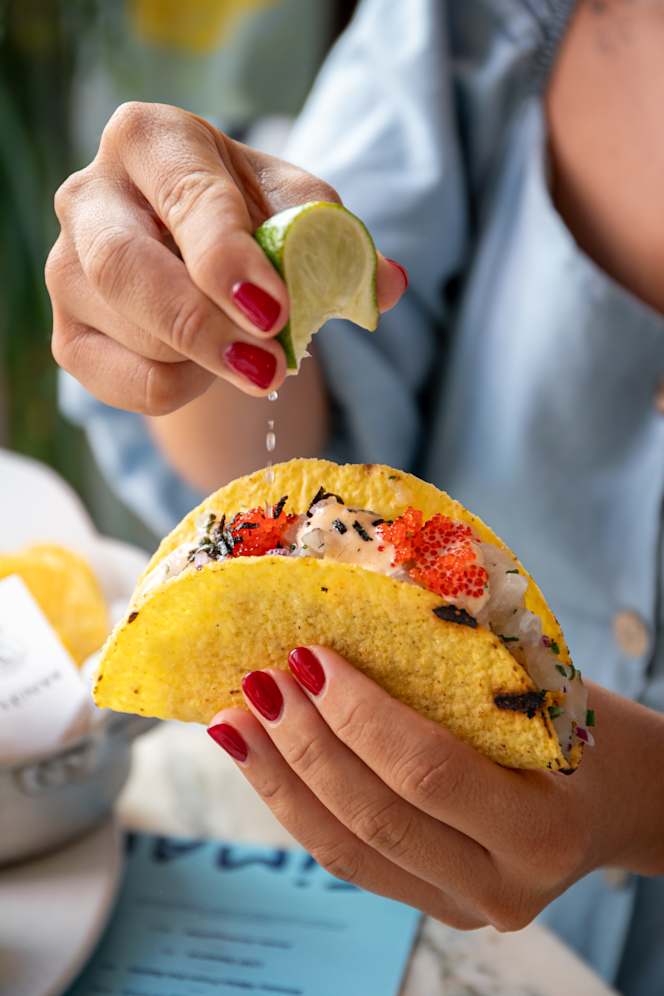 Teimar Cervejaria - 6