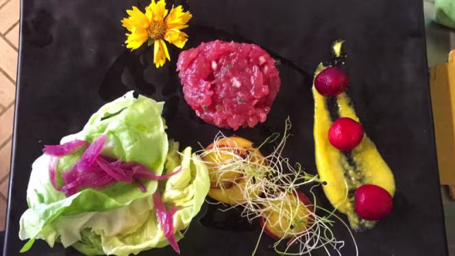 La Luna nel Pozzo - 2