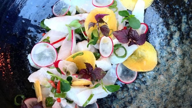 Yolo - Rotterdam - 6