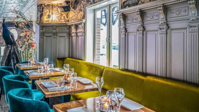 Yolo - Rotterdam - 0