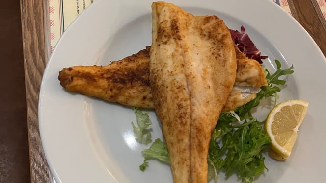 De Hollandse Tulp - 4