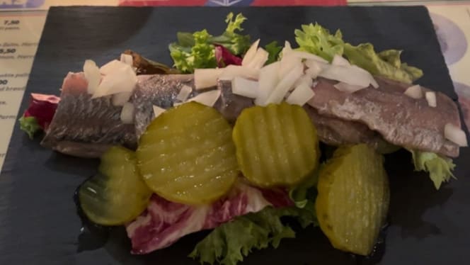 De Hollandse Tulp - 3