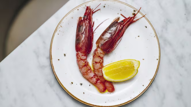 Tozi Restaurant & Bar - 1