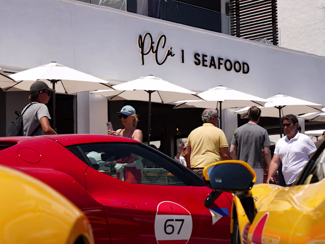 Picú Puerto Banus - 3