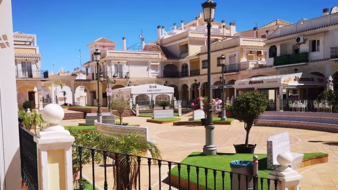 Pizzeria Arroceria Plaza - 0