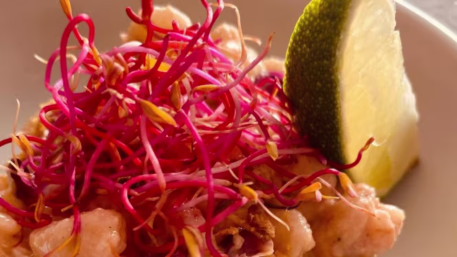 Le Salon de Grégoire - 5