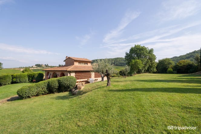 Trattoria della Fonte - 0