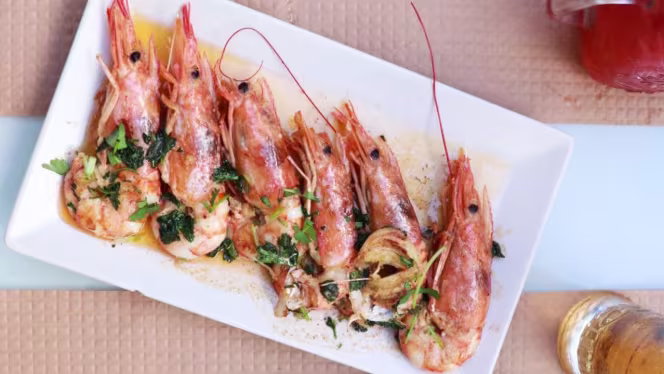 Don Pablo - Campo de Ourique - 3