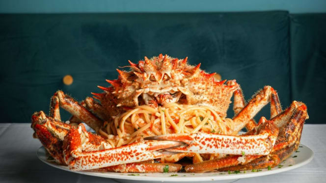 Vinecò Cucina: Cultura e Passione - 3