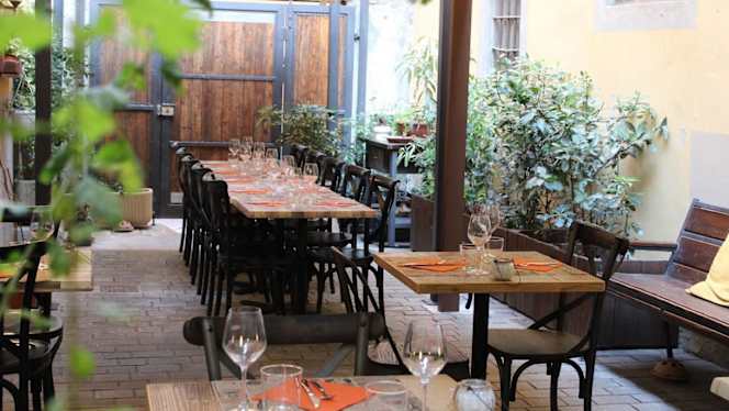 Offish - Officina del Mare - 1