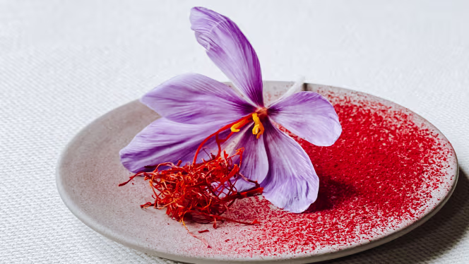 Hôtel de la Bretesche- Le Montaigu - 4