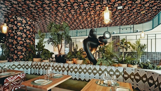 Papúa - Valencia - 2