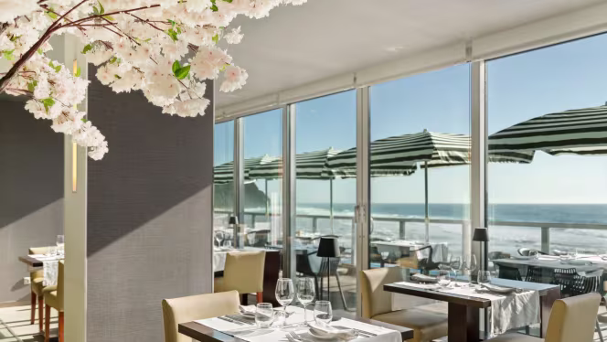 Terrace - Hotel Arribas - 2