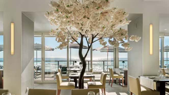 Terrace - Hotel Arribas - 3